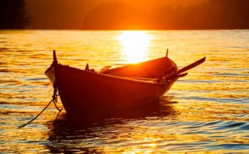 Хобби ценою в жизнь: в Запорожской области на оросительном канале утонул рыбак-пенсионер