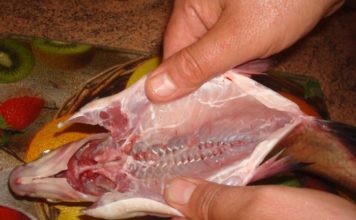 Житель Мелитополя попал в реанимацию, купив в магазине рыбу