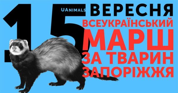 67312946_2178277175560823_8589503978578903040_n