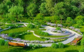 В Запорожье утвердили программу «озеленения» города