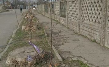 В Шевченковском районе хотят создать общественное пространство для молодежи