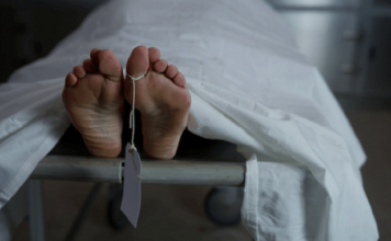 В Запорожской области обнаружили разложившийся труп мужчины (ФОТО 18+)