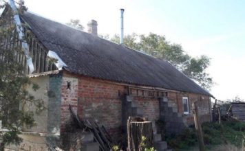 В Запорожской области во время пожара едва не взорвался газовый баллон (ФОТО)