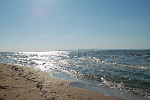На побережье Азовского моря обнаружили жуткую находку (ВИДЕО)