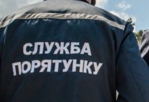 В Запорожской области микроавтобус слетел с дороги и перевернулся (ФОТО)