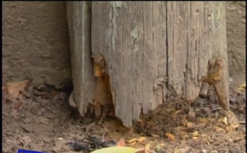 В Запорожье аварийную электроопору отремонтировали странным образом (ВИДЕО)