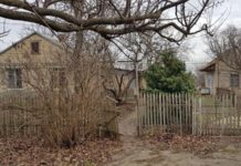 В Запорожской области погибла пенсионерка (ФОТО)