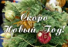 Новый год близко: в Запорожье начали устанавливать главную ёлку города (ФОТО)