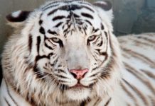 В Запорожской области побывала известная телеведущая (ВИДЕО)