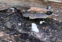 В Запорожье вандалы сжигают мусорные баки