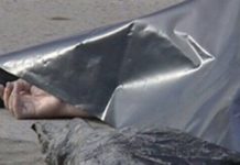 В Запорожской области дети нашли в людном месте скелет человека (ФОТОФАКТ)