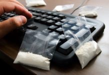 У жителя Запорожья изъяли наркотики на 10 миллионов гривен (ВИДЕО)