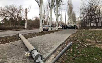 На дорогу выбежала собака: в Энергодаре иномарка протаранила столб (ФОТО)