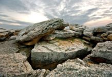 «Каменную Могилу» хотят внести в список наследия ЮНЕСКО