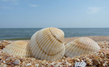 В центре Кирилловки установили оригинальную инсталляцию (ФОТО)