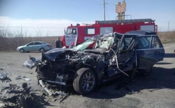 Жуткое ДТП в Запорожской области: элитная иномарка врезалась в грузовик (ФОТО)