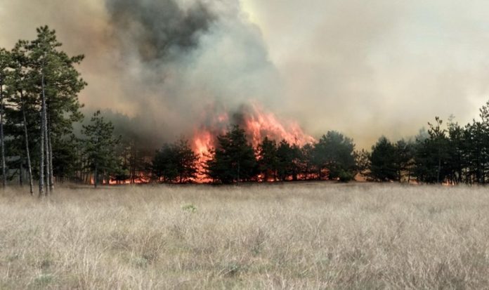 94394227_240634267143305_4582831023678554112_n-960x570