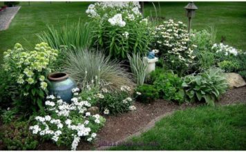 Курьёз: жительница Полог разворовывает клумбы соседей (ВИДЕО)