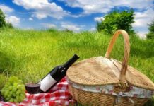 Сколько запорожцы будут отдыхать в июне