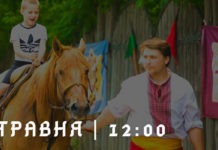 Конный театр «Запорожские казаки» возобновляет зрелищные представления