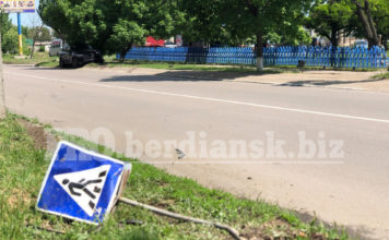 В Бердянске Volkswagen зацепил ВАЗ, сбил дорожный знак и врезался в дерево (ФОТО)