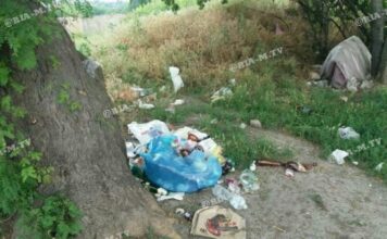 Озеро в Запорожской области отдыхающие превратили в свалку (ФОТО)