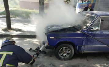 На запорожском курорте вспыхнула легковушка (ФОТО)