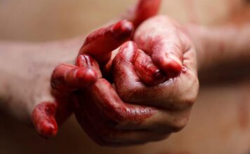 Повсюду лужи крови: в мелитопольском кафе произошла жестокая драка (ФОТО)