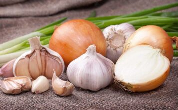 Врач рассказала, помогает ли от COVID-19 лук и чеснок (ВИДЕО)