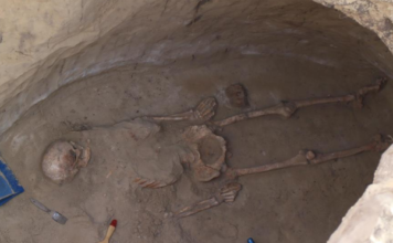 В Запорожье нашли древнее захоронение скифского воина (ФОТО, ВИДЕО)