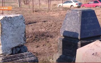 В Гуляйполе фермер распахал кладбище, вывернув из земли кости (ВИДЕО)