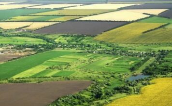 Какие места заняли запорожские громады во всеукраинском рейтинге