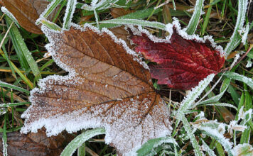 В Запорожской области ожидают мороз до минус 5