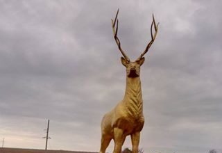 Оккупанты выкрали главу курортной Кирилловки и устроили там террор