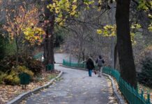 Дощитиме майже по всій Україні: якою буде погода в останню неділю жовтня