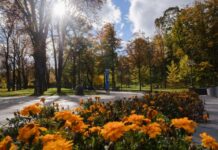 Листопад несе в Україну сонце: синоптик сказала, де на вихідних буде найтепліше