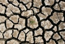 Іран зрошує хмари сріблом, щоб подолати найсильнішу посуху за 50 років