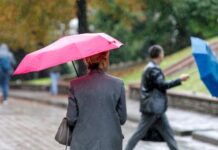 Мокрий сніг та ожеледиця: якою буде погода в Україні 23 листопада