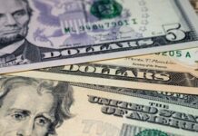 НБУ оновив курс долара: скільки коштує валюта