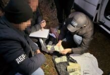 Вкрав купу доларів і ховався в лісі: затриманому копу з Києва оголосили підозру (фото)