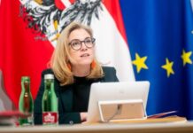 «Суверенітет і територіальна цілісність»: у МЗС Австрії назвали умови для стійкого миру в Україні