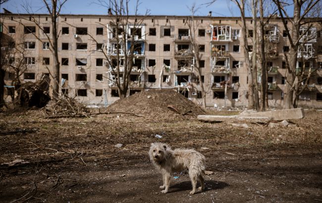 Голодні собаки нападають на українців на окупованих територіях, — ЦНС_692e49c1612a1.jpeg