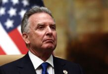 Мир до кінця року: Трамп направить Віткоффа на зустріч із Зеленським та лідерами Європи, — WSJ