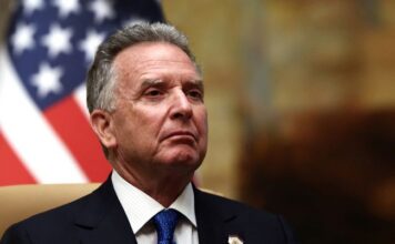 Мир до кінця року: Трамп направить Віткоффа на зустріч із Зеленським та лідерами Європи, — WSJ