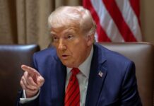 Трамп висловився про перспективи виборів в Україні та ролі Зеленського