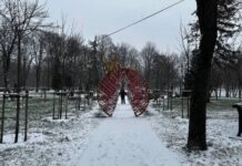 У Києві випав перший сніг: як виглядає засніжена столиця