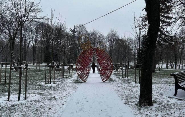 У Києві випав перший сніг: як виглядає засніжена столиця_693e705292af2.jpeg