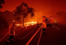 Австралію охопили масштабні пожежі: десятки тисяч домівок без світла, є зниклі люди