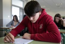 НМТ не обов’язкове: МОН готує зміни для українських вступників з-за кордону